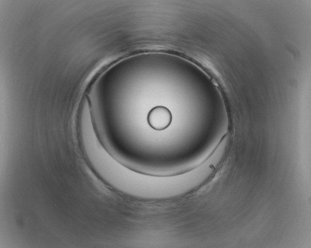 X0000114011181200910161726