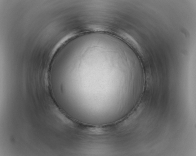 X0000114011182200910161726