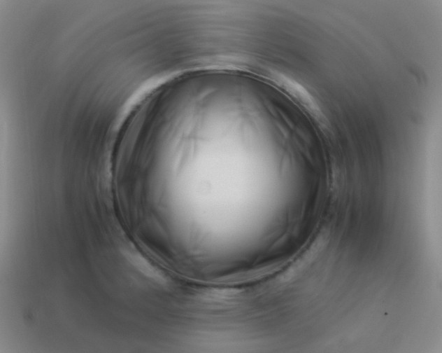 X0000114011184200910161726