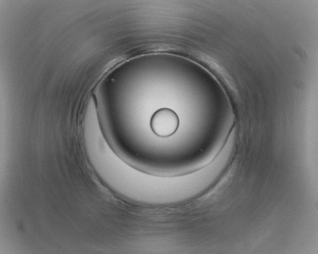 X0000114011185200910161726