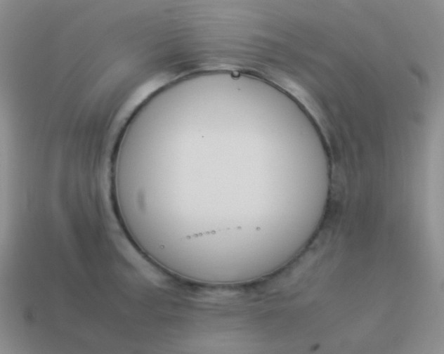 X0000114011187200910161725