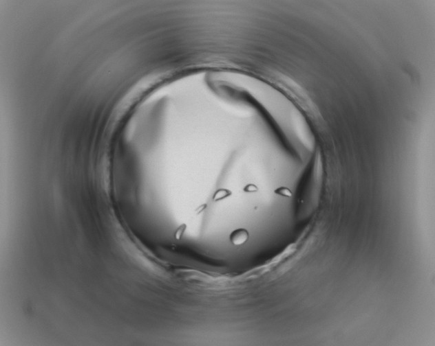 X0000114011188200910161725