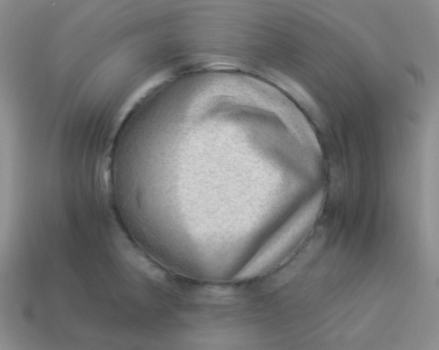 X0000114011190200910161725