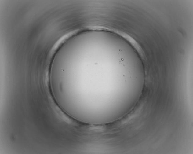 X0000114011191200910161725