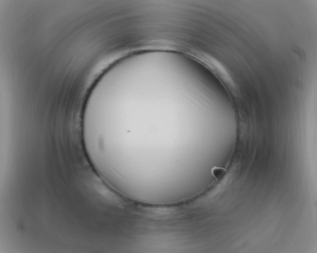 X0000114011192200910161725