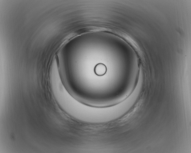 X0000114011193200910161725