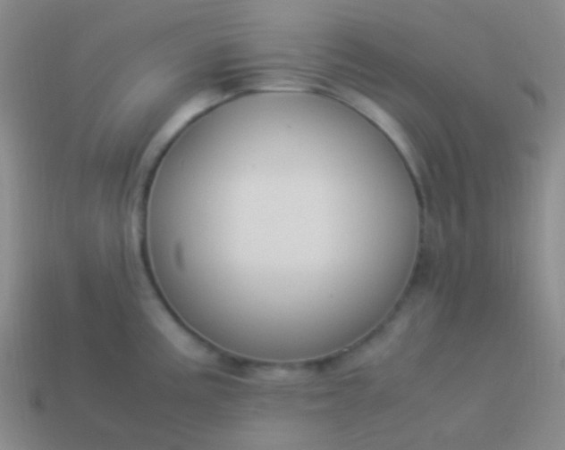 X0000114011195200910161725