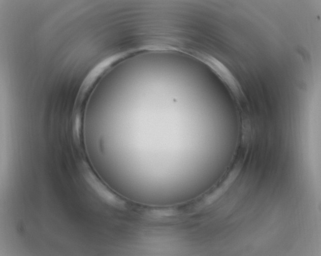 X0000114011196200910161725