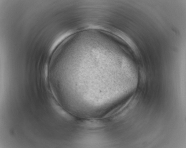 X0000114011198200910161725