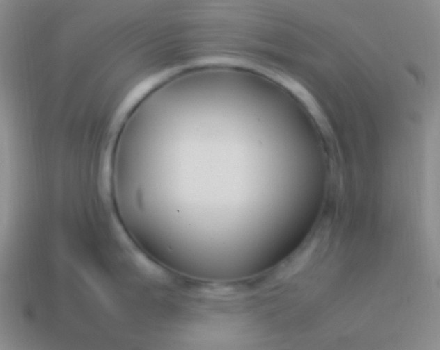 X0000114011199200910161725