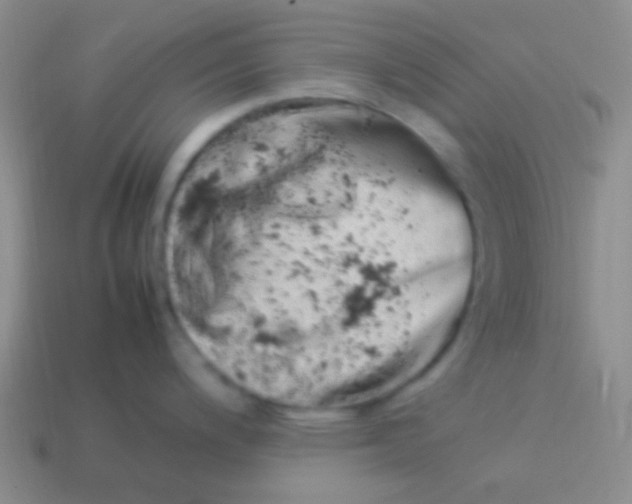 X0000114011200200910161725