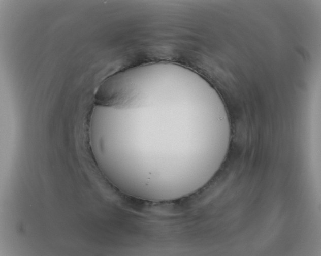 X0000114011201200910161725