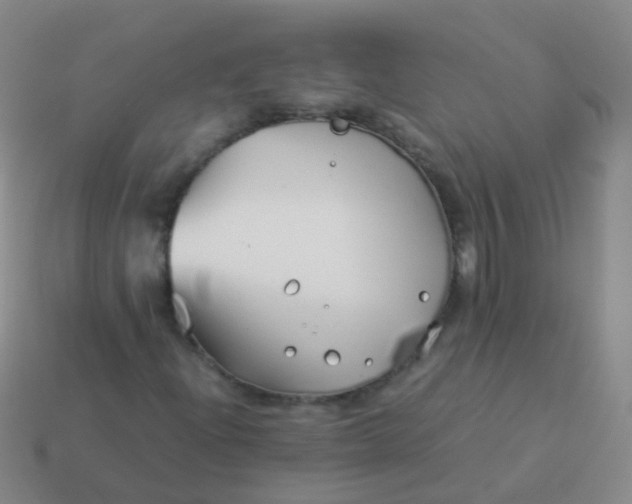 X0000114011204200910161725