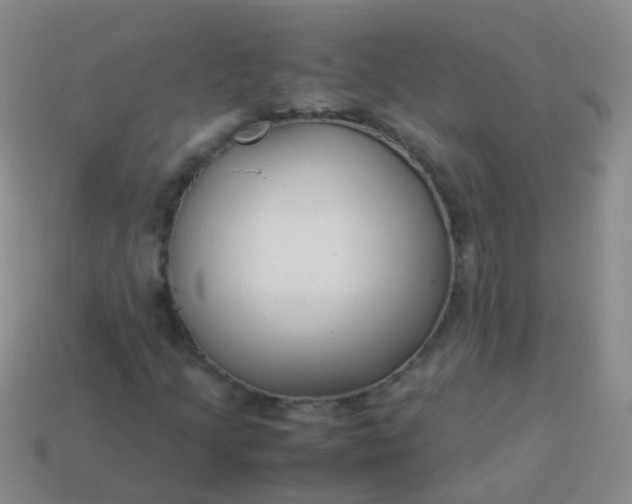 X0000114011205200910161725