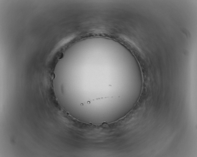 X0000114011207200910161725