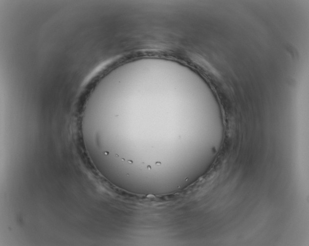 X0000114011208200910161725