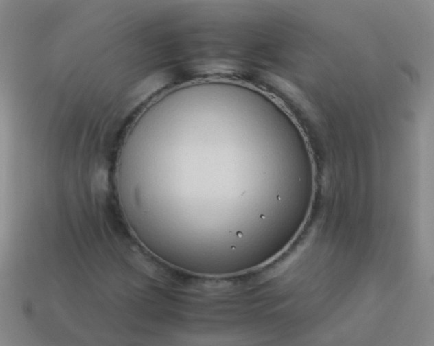 X0000114011209200910161725