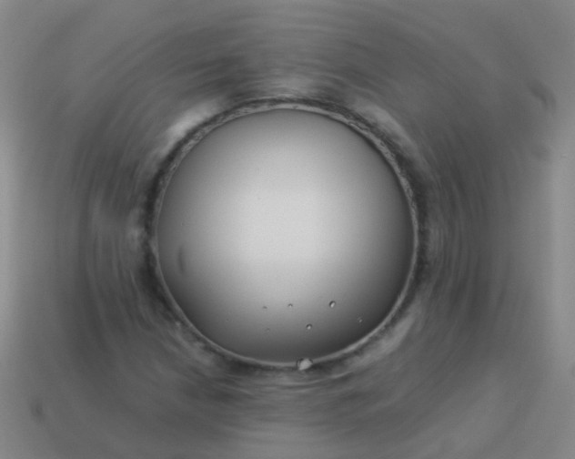 X0000114011210200910161725