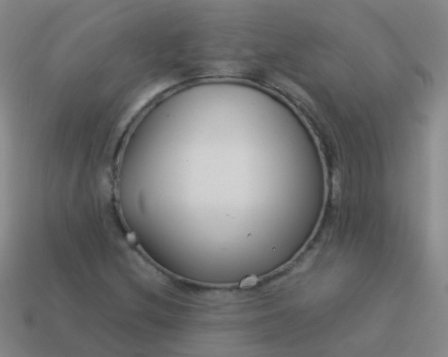 X0000114011212200910161725