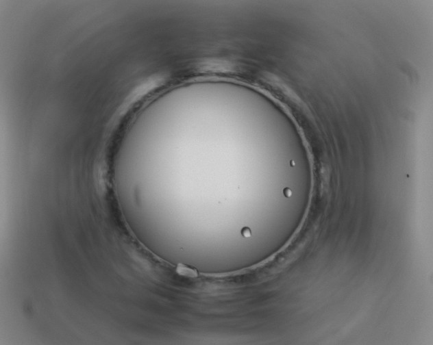 X0000114011213200910161725