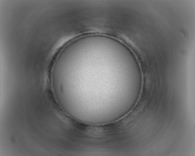 X0000114011215200910161725