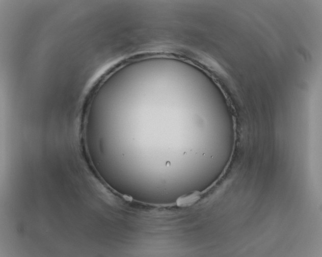 X0000114011216200910161725