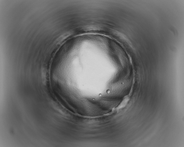 X0000114011217200910161725