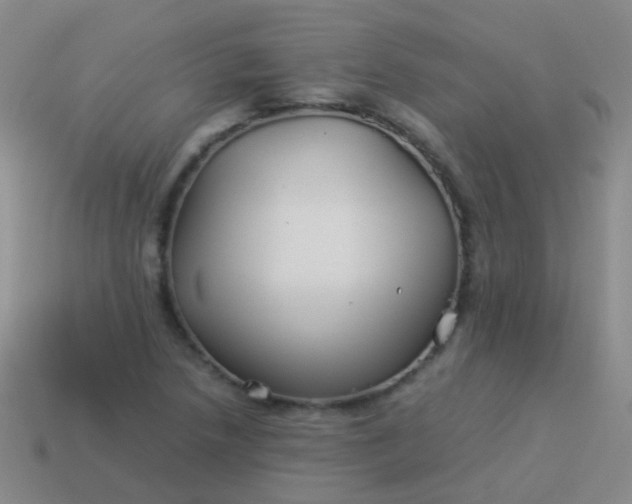 X0000114011218200910161725