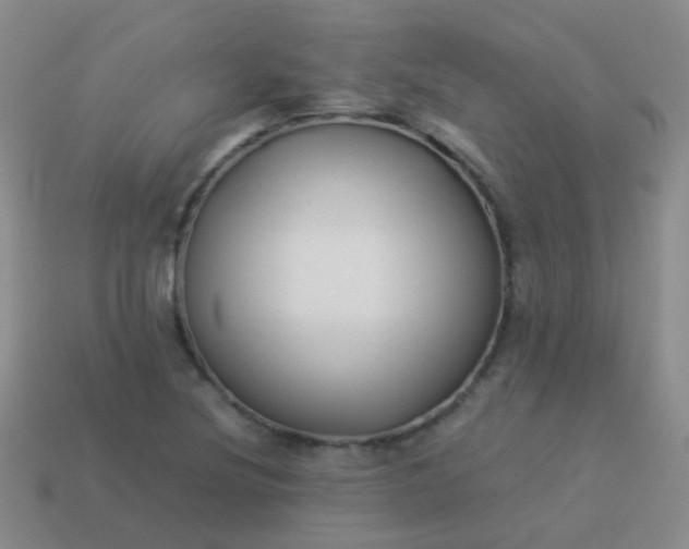 X0000114011220200910161725