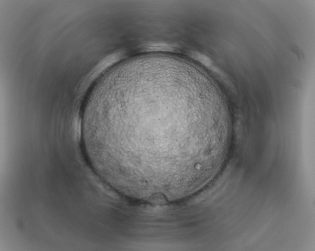 X0000114011221200910161725