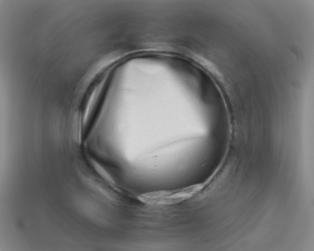 X0000114011223200910161725