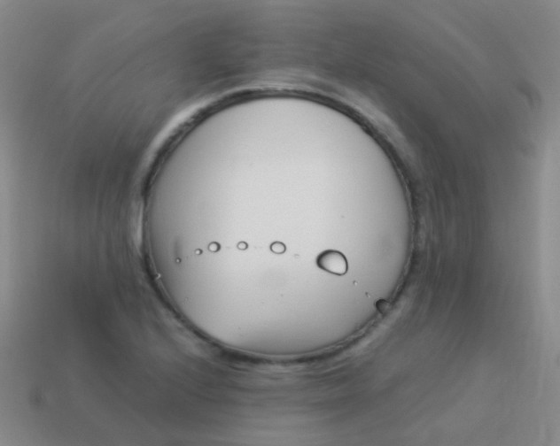 X0000114011224200910161725