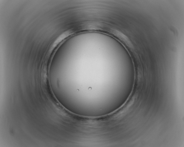 X0000114011226200910161725