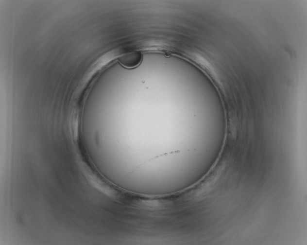 X0000114011227200910161725