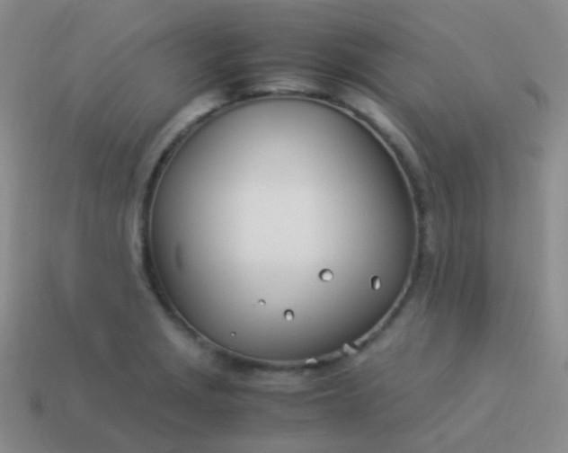 X0000114011229200910161725