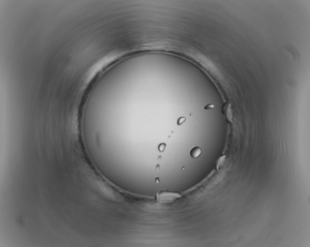 X0000114011230200910161725