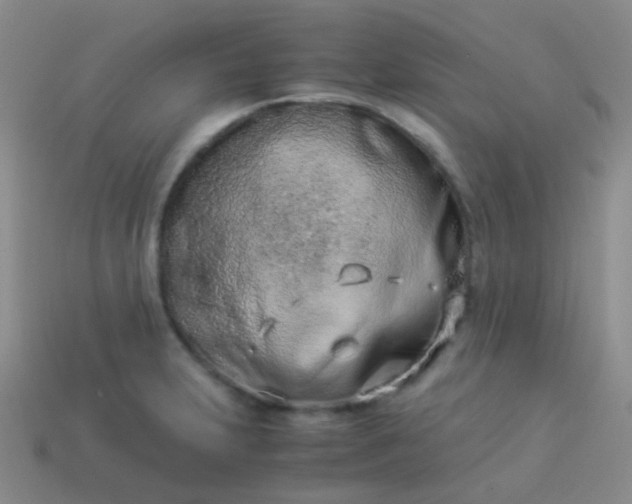 X0000114011231200910161725