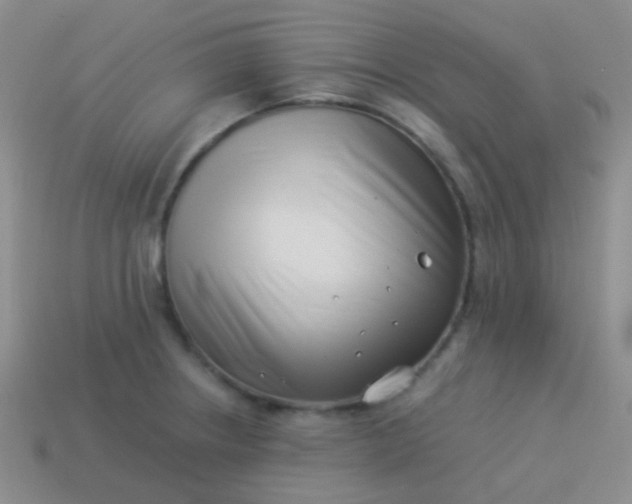 X0000114011234200910161725