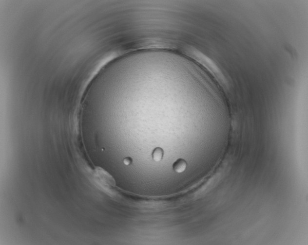 X0000114011236200910161725