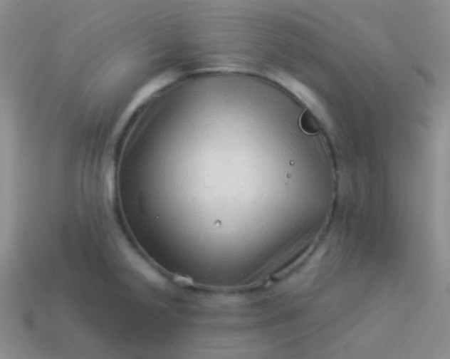 X0000114011238200910161725