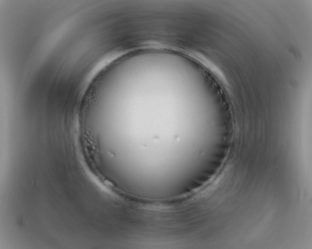 X0000114011239200910161725