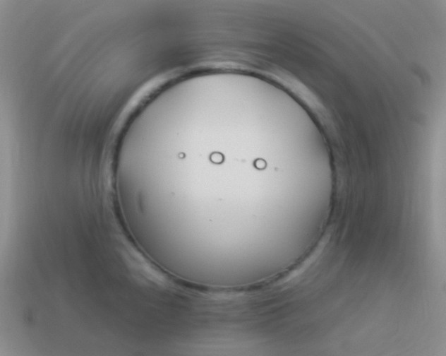 X0000114011240200910161725