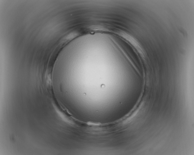 X0000114011241200910161725