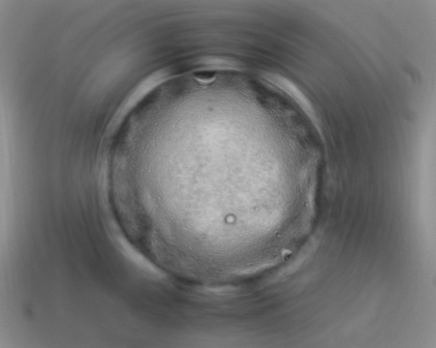 X0000114011243200910161725