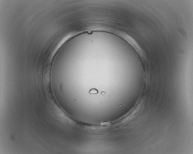 X0000114011244200910161725