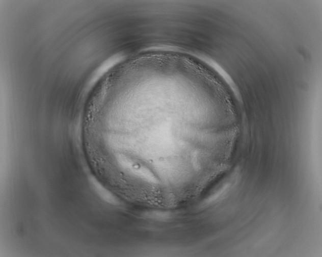 X0000114011245200910161725