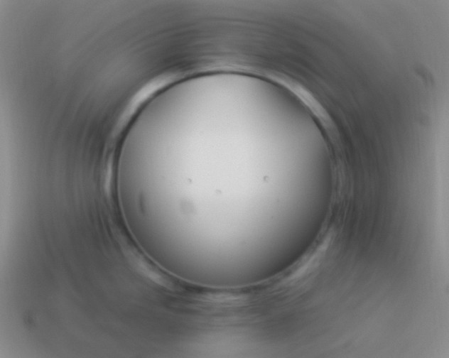 X0000114011246200910161725