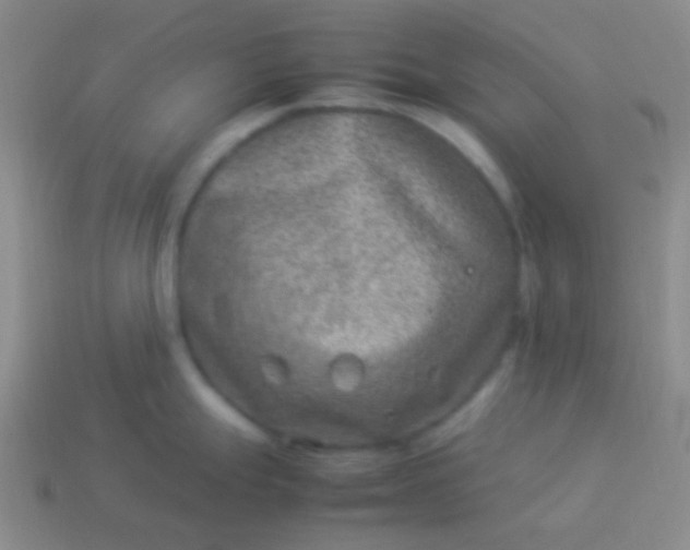 X0000114011247200910161725