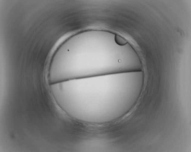 X0000114011248200910161725