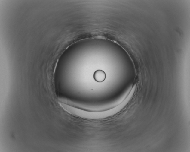 X0000114011249200910161725